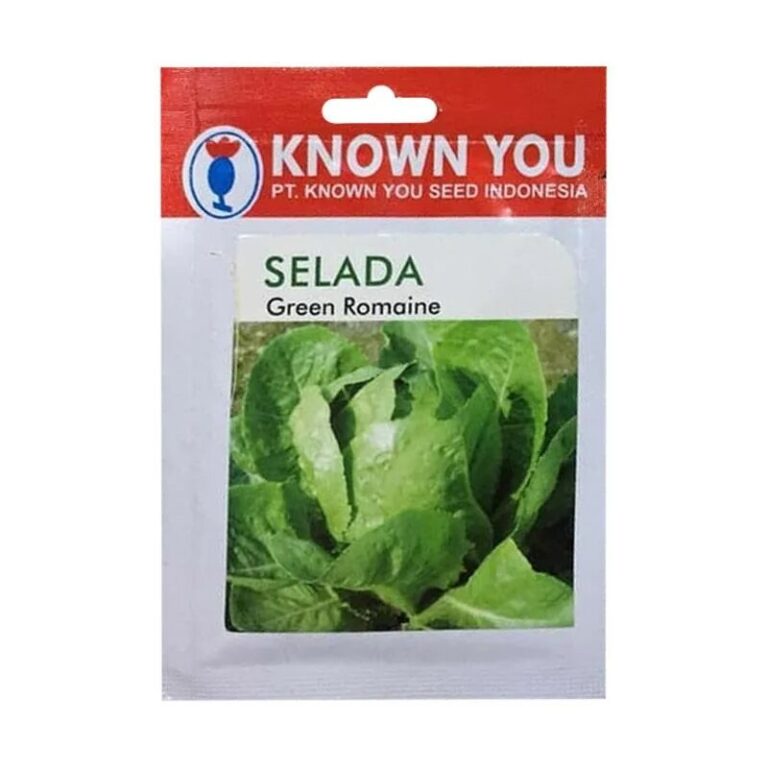 Jual Benih Selada Green Romain Gram Known You Seed Bibit Online