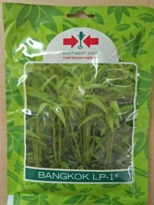 Kangkung Bangkok LP-1