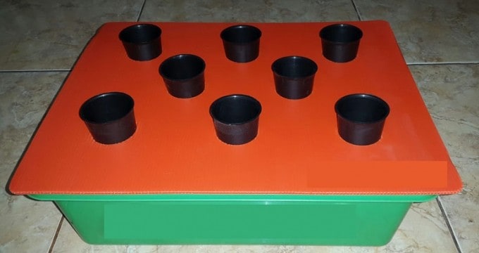 cara menanam hidroponik dengan pot