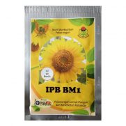 Vanilla Ice Bunga Matahari : Biji Benih Bunga Matahari Sunflower Seeds 10 S : Jual bibit matahari sunflower little leo.