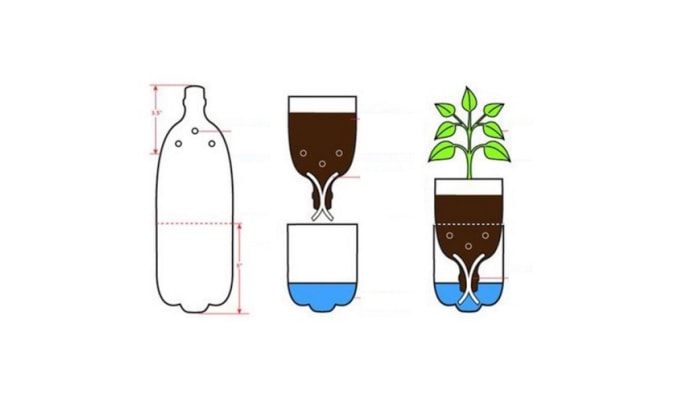 Cara Menanam Hidroponik dengan Botol Bekas (5 Tahapan 