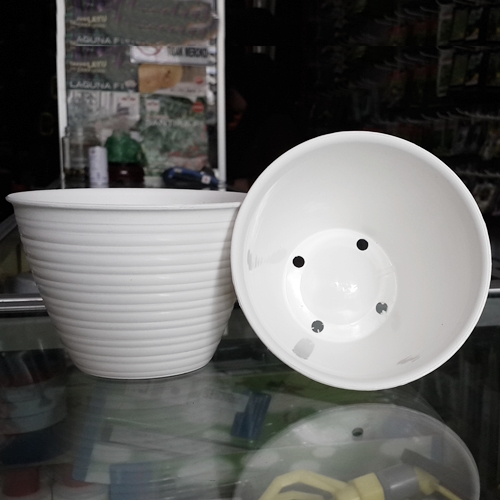 Jual Pot  Tanaman Bunga Plastik Tawon  Putih 12 cm Bibit 