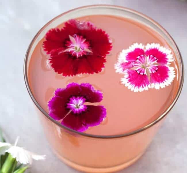 11 Daftar Edible Flowers Bunga Yang Bisa Dimakan Bibit Online