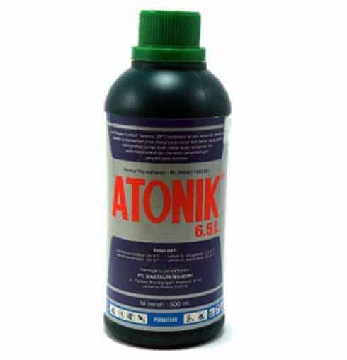 jual atonik 6 5l 500ml bibit jual atonik 6 5l 500ml bibit