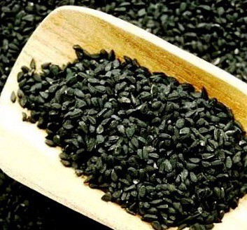 jual benih jintan hitam 5 biji non retail bibit jual benih jintan hitam 5 biji non retail bibit