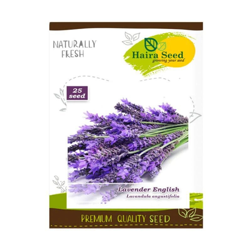 Jual Benih Lavender English 25 Biji – Haira Seed | Bibit Online
