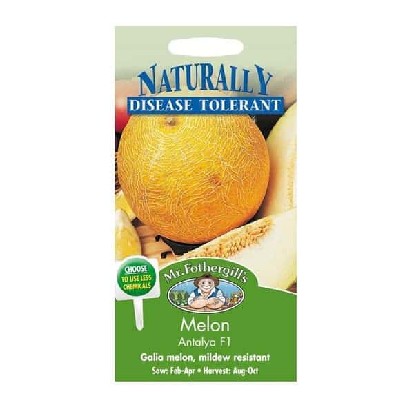 Jual Benih Melon Antalya F1 10 Biji – Mr Fothergills Bibit Online Jual Benih Melon Antalya F1 10 Biji – Mr Fothergills Bibit Online