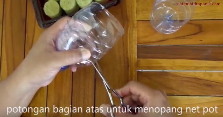  Hidroponik  Sederhana dengan Botol  Bekas  Air Mineral 