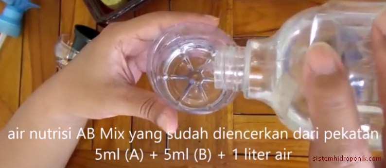  Hidroponik  Sederhana dengan Botol  Bekas  Air Mineral 