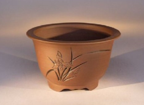  Jual  Pot  Bonsai  Dengan Beragam Koleksi Dan Harga Bibit 