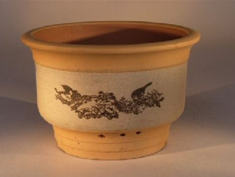 Jual Pot  Bonsai  Dengan Beragam Koleksi Dan Harga Bibit 