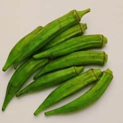 Jual Benih Bibit Okra Murah Lengkap Bibit Online