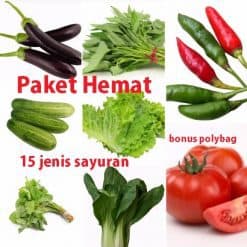 Jual Bibit Unggul Buah Bunga dan Tanaman  Lain Bibit Online