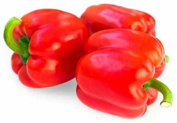 Bibit Paprika Merah