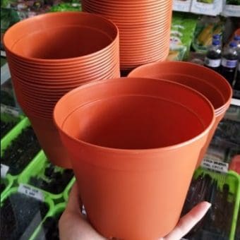 Jual Pot Bunga Tanaman Coklat 17 cm Bibit Online