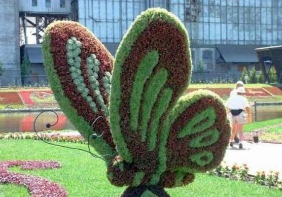 Topiary Praktik Seni Tanaman  Hias  yang Menarik Dicoba 