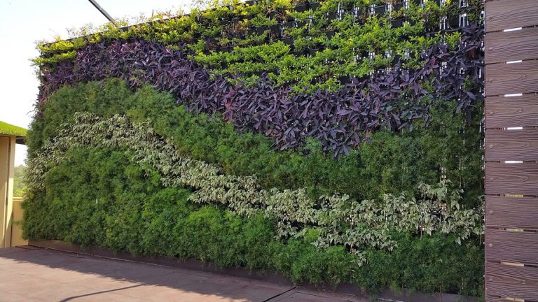 Vertical Garden Keuntungan Jenis  Tanaman  dan Cara 